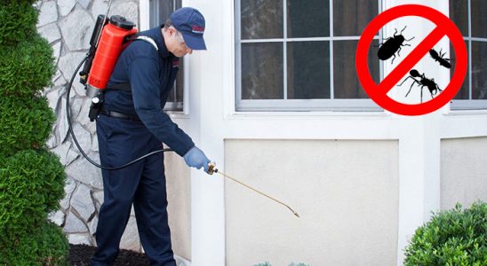 Alucra Dezenfeksiyon böcek ilaçlama ve haşere kontrolü — ilaclama-tr.com